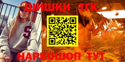 мдпв Гагарин