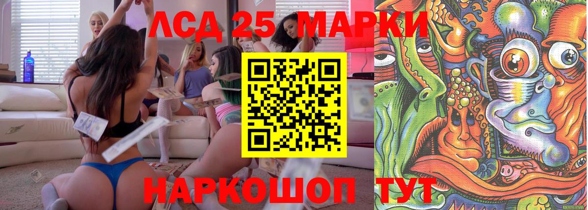Галлюциногенные грибы Коряжма